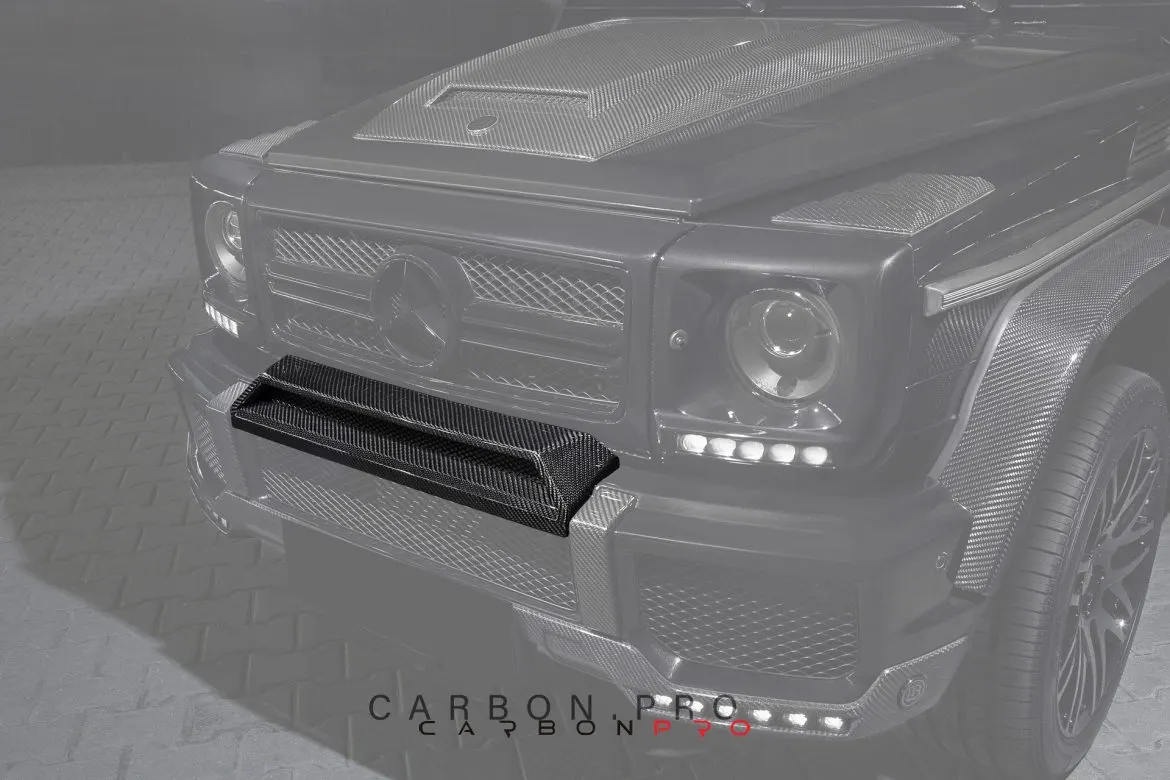 Carbon front bumper arch above license plate B Style