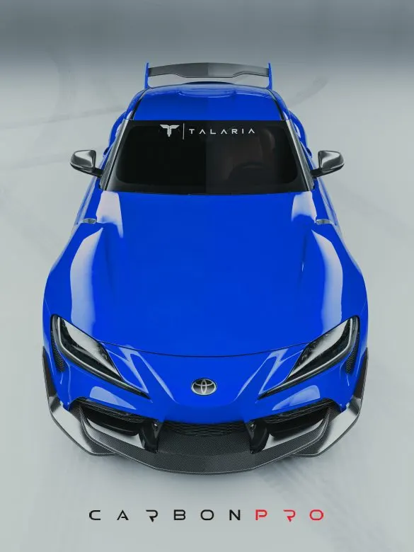 Bumper lip