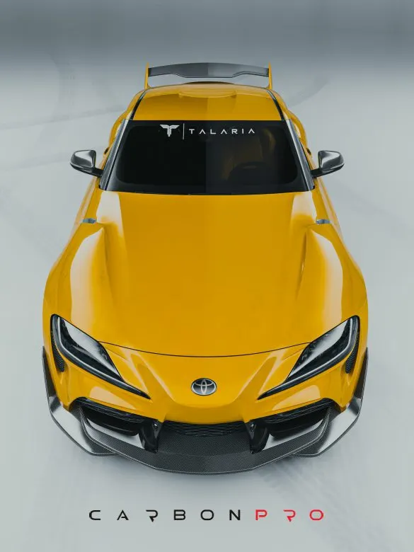 Bumper lip