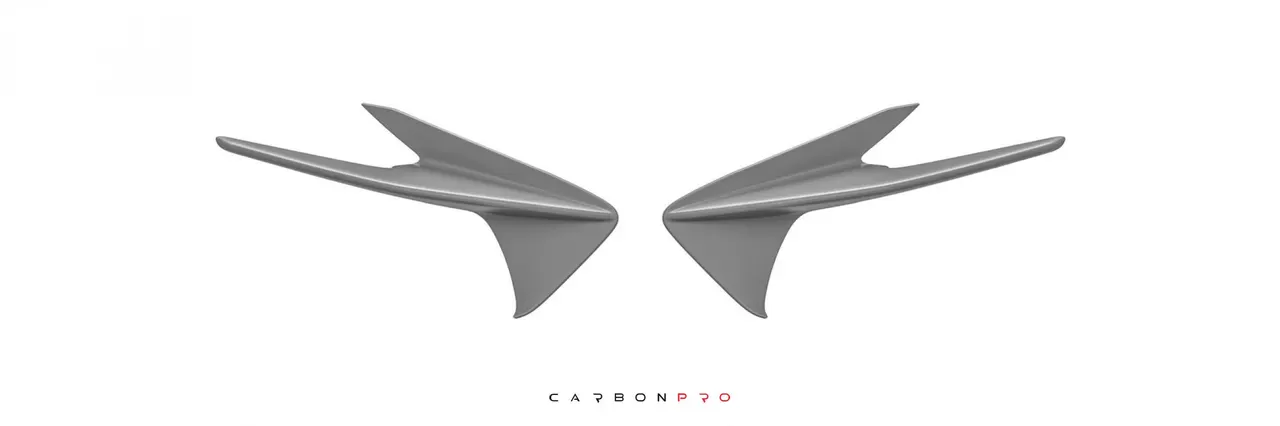 Canards