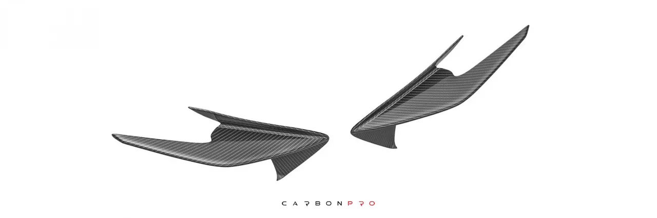 Canards