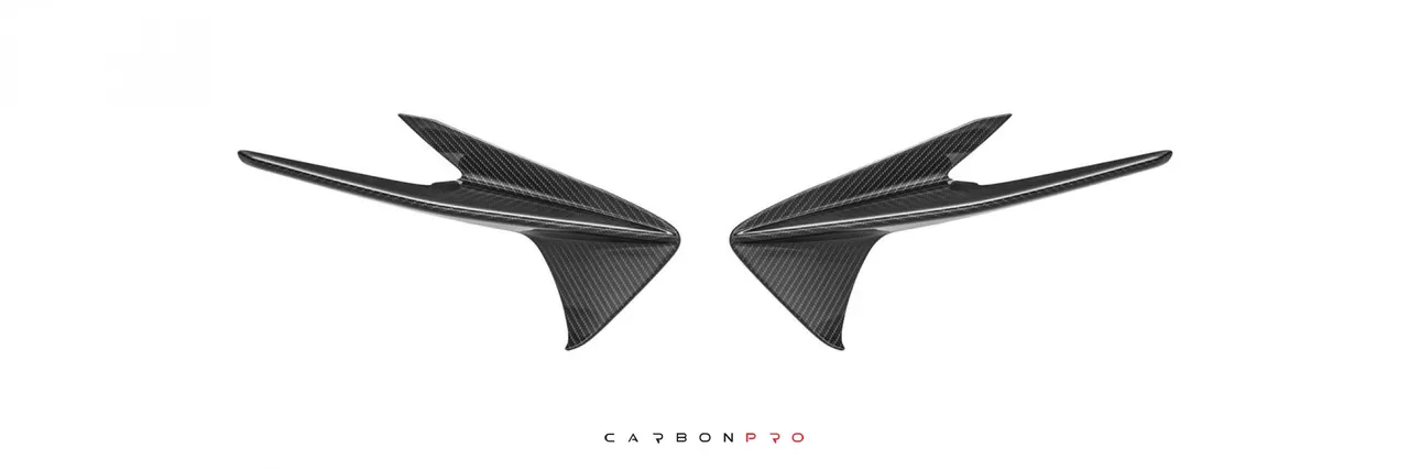 Canards