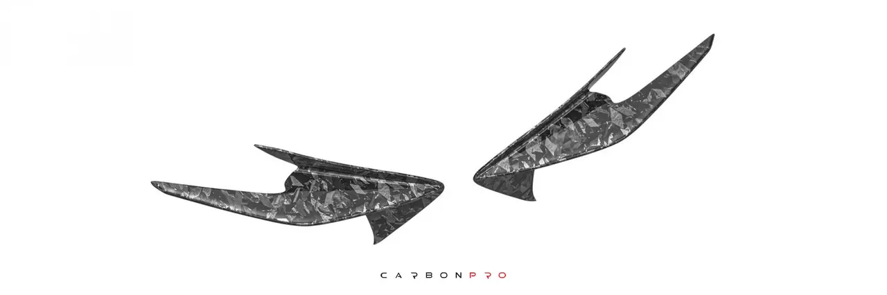 Canards