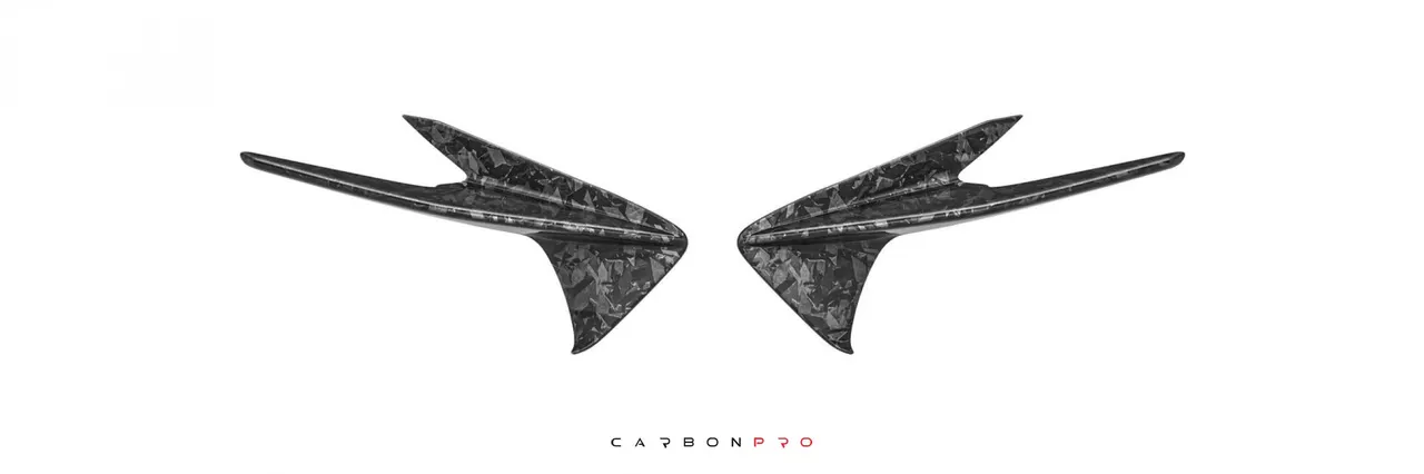 Canards