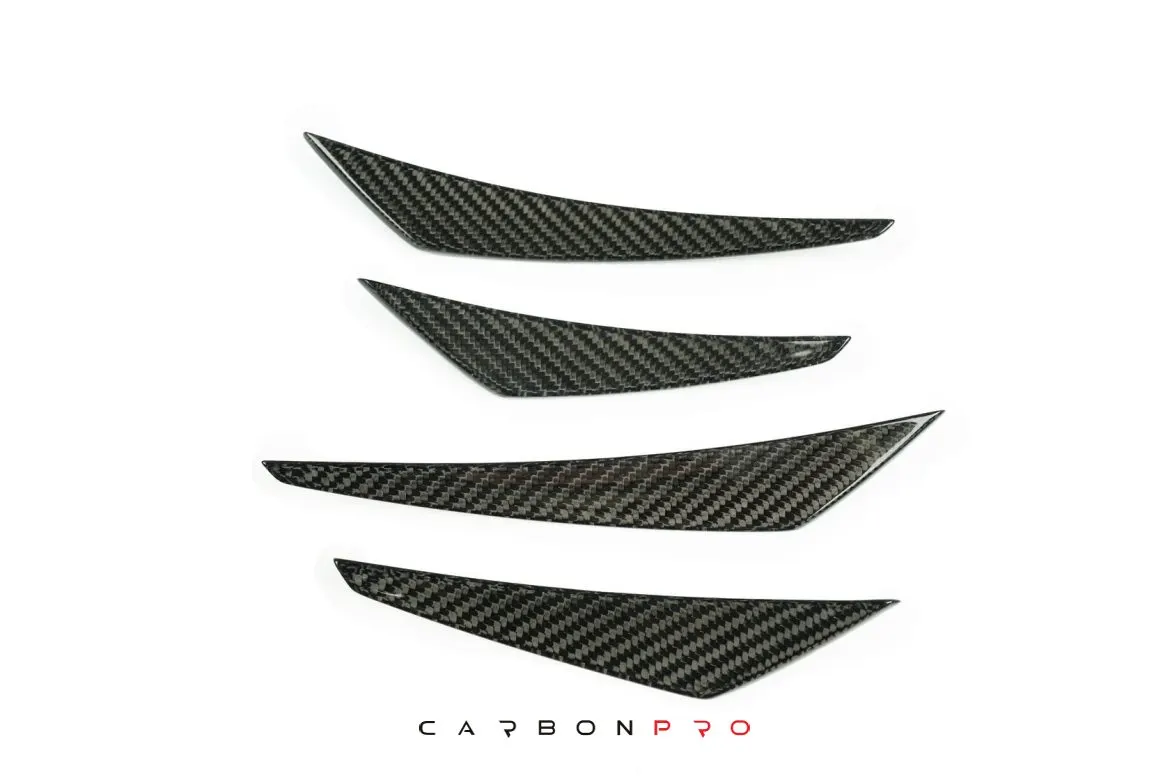 Canards SUPER JET