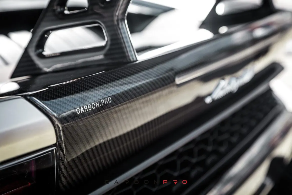 Carbon Base for the wing
