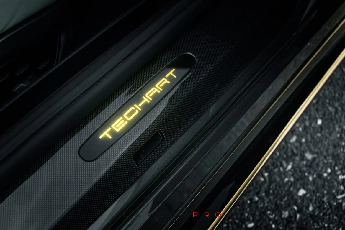 Carbon Door Entry Guards with Illuminated lettering for 992