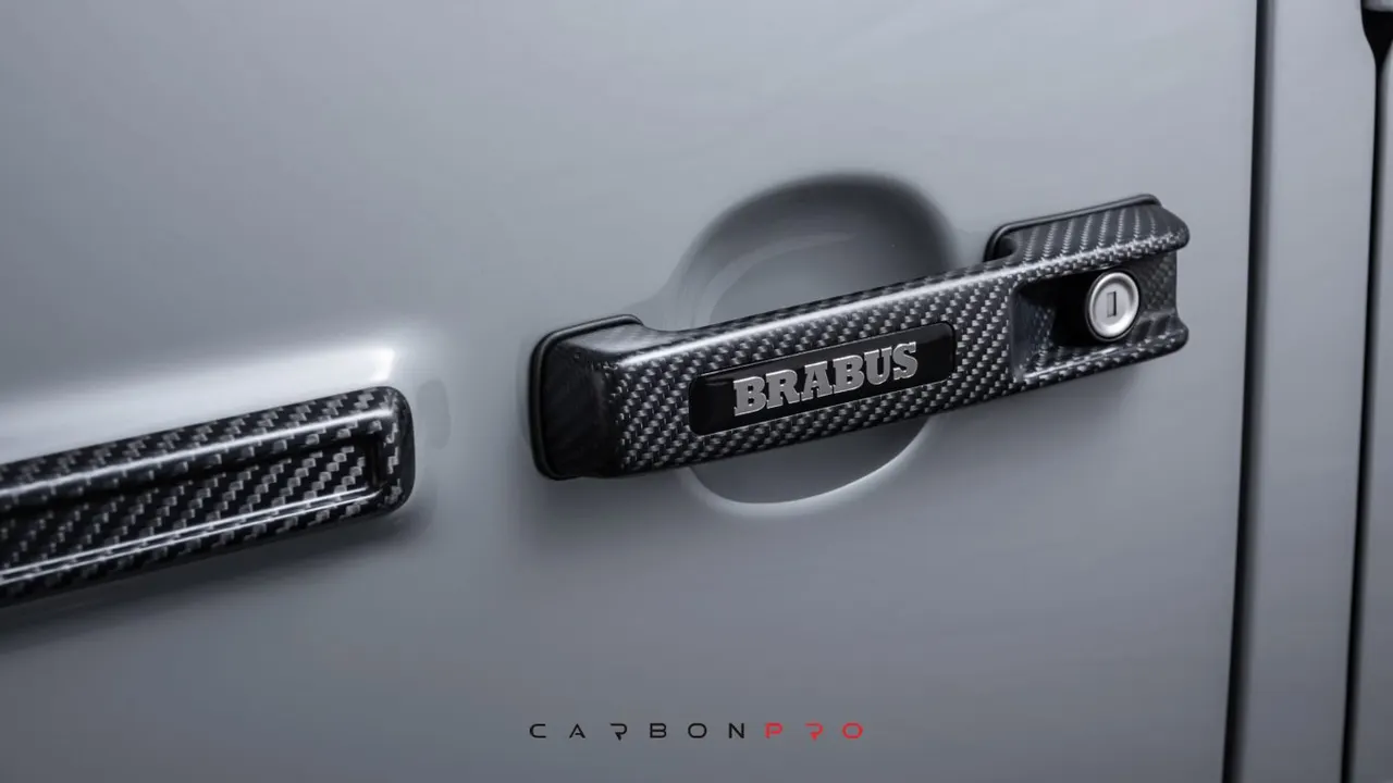 Carbon door handles
