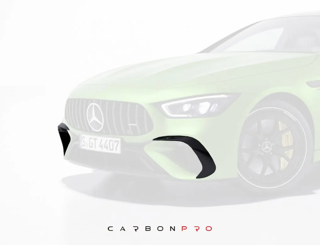 Carbon Eye lids for bumper AMG GT SE Performance