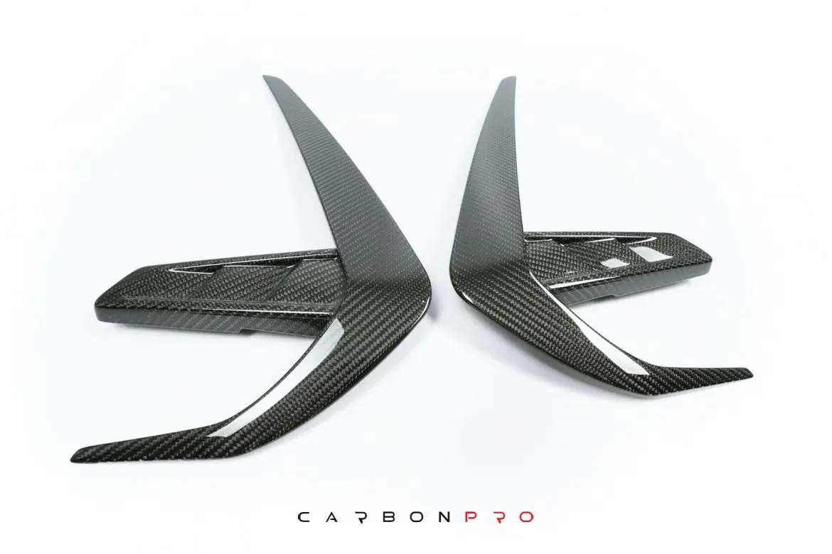 Carbon fender pads SHARK