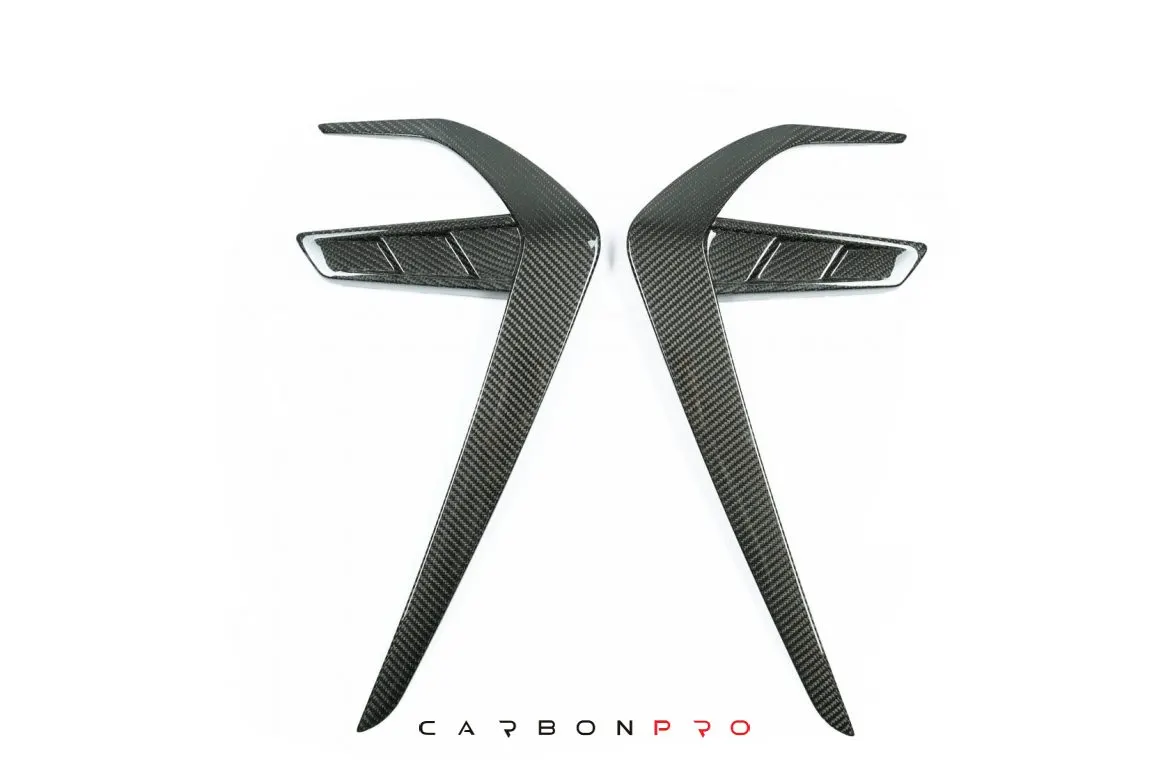 Carbon fender pads SHARK