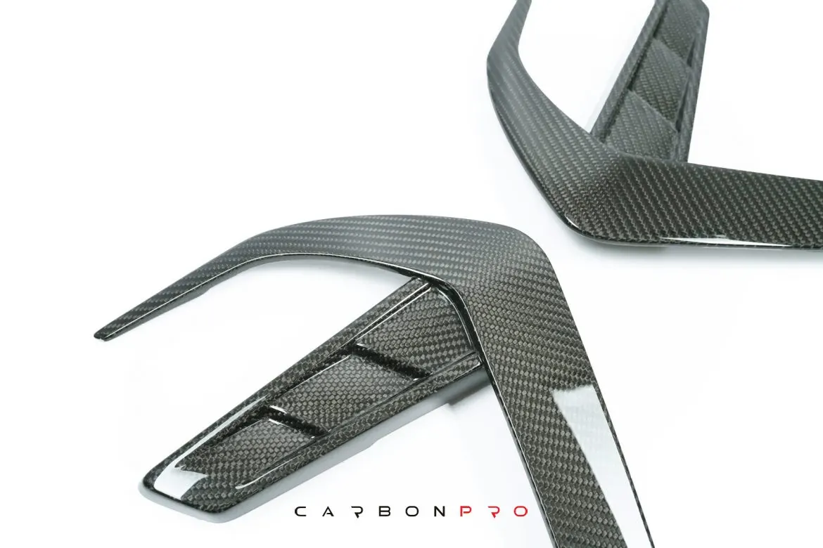 Carbon fender pads SHARK