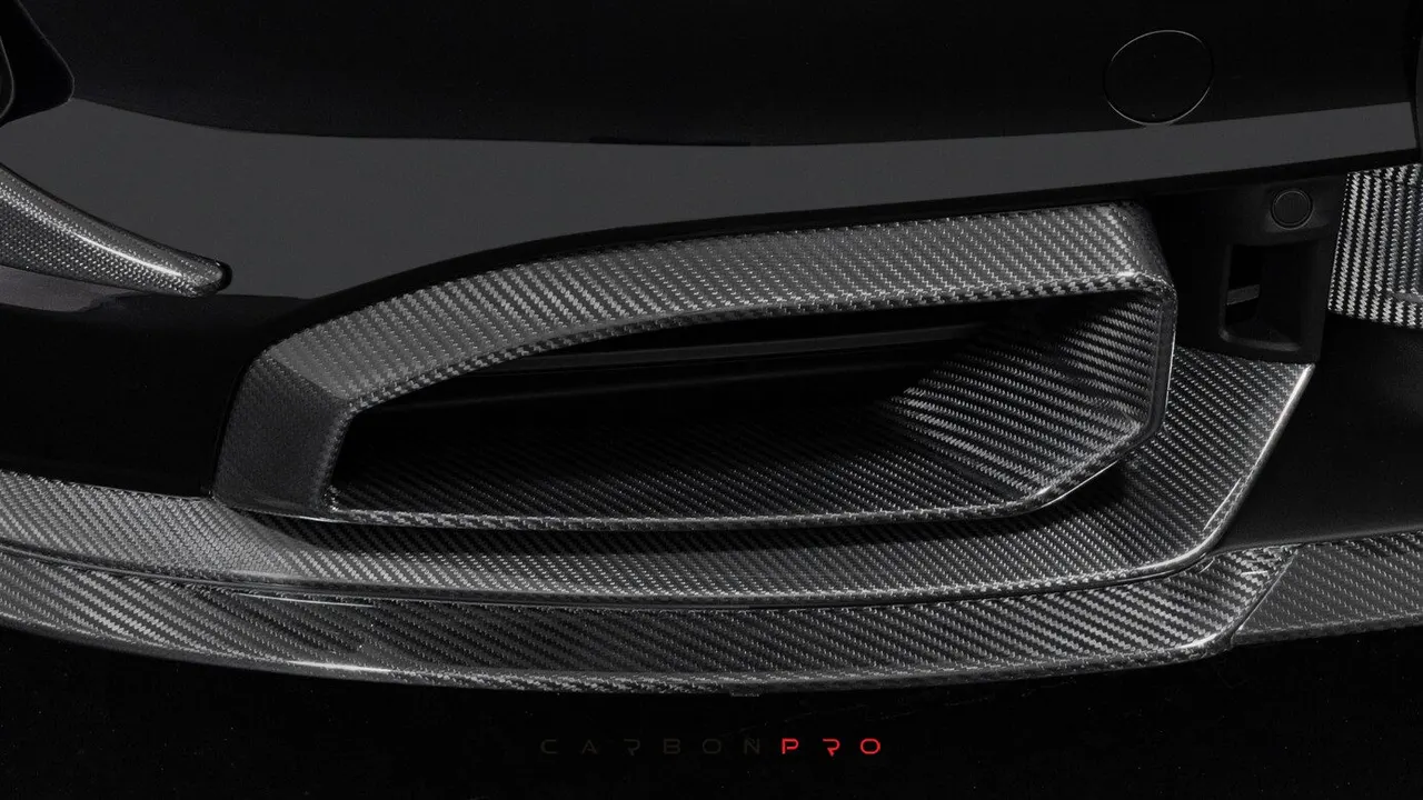 Carbon front fascia inserts