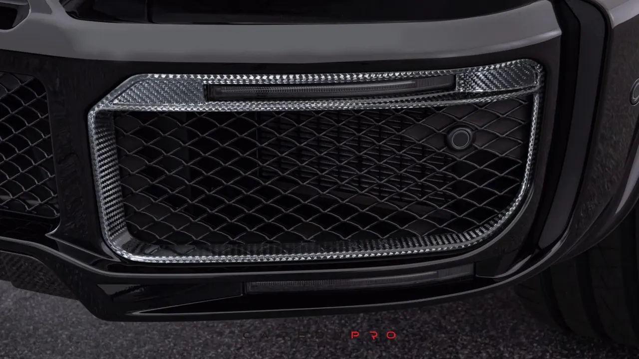 Carbon front fascia inserts for WIDESTAR