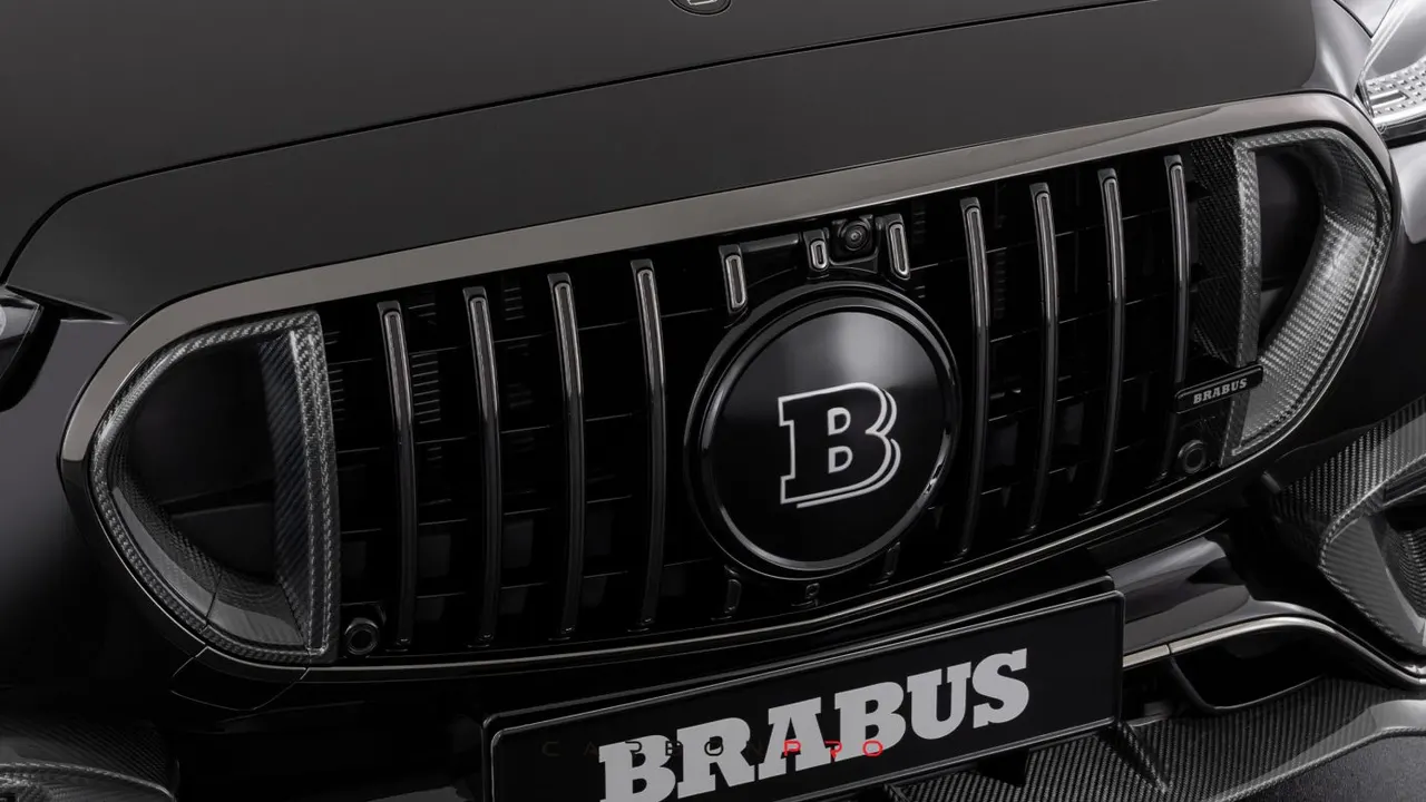 Carbon front grill inserts