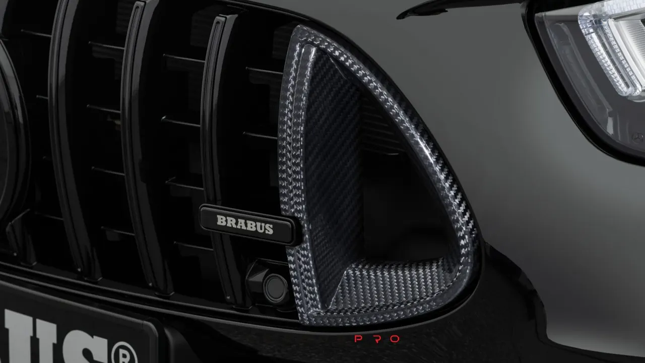 Carbon front grille inserts