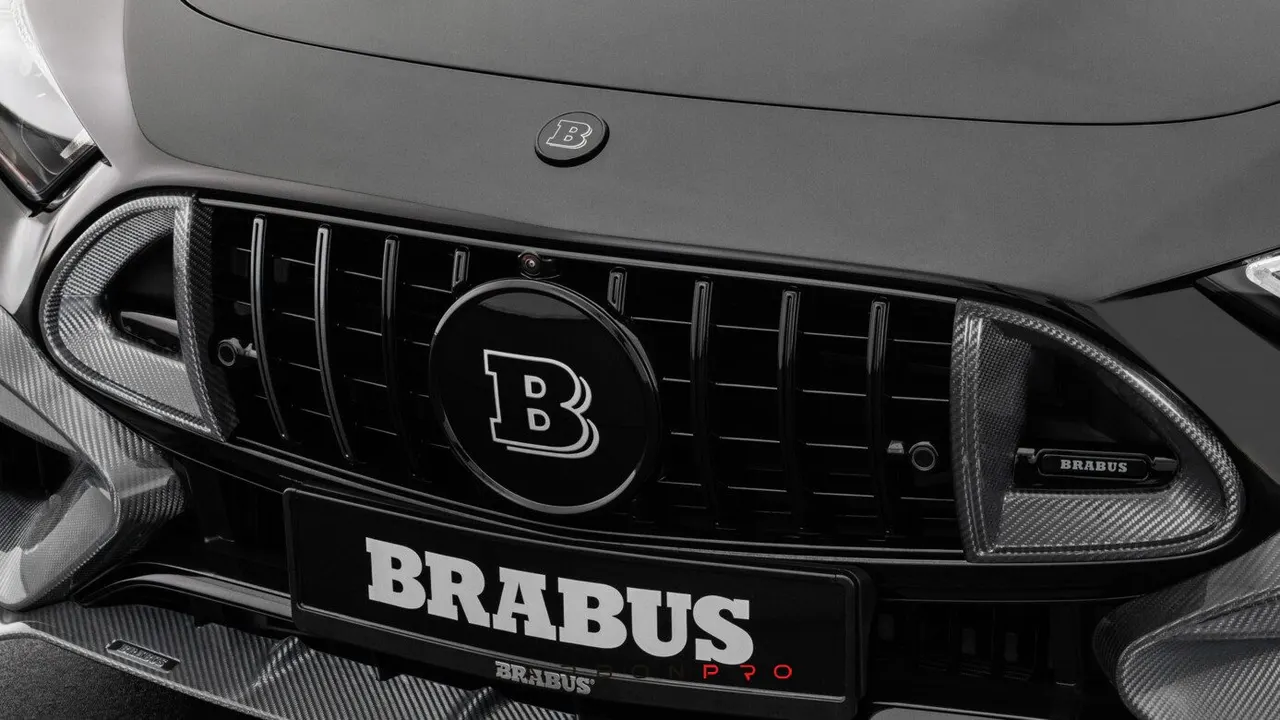 Carbon front grille inserts