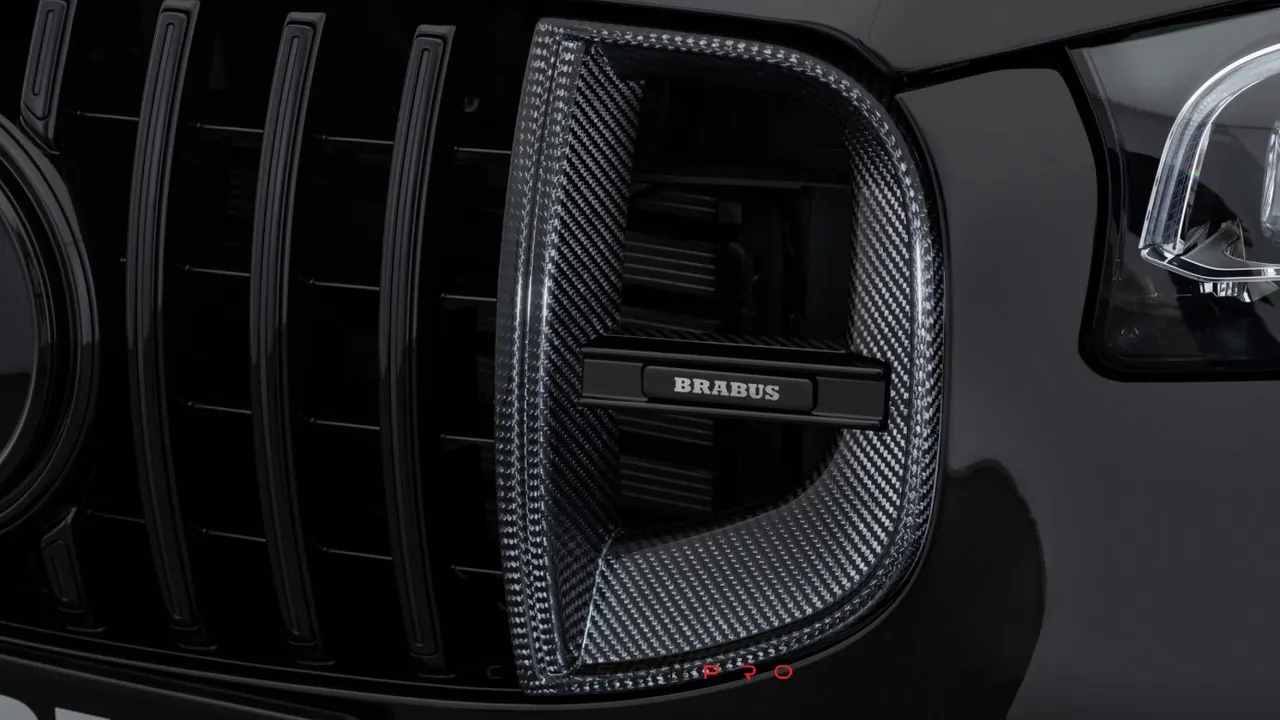 Carbon front grille inserts