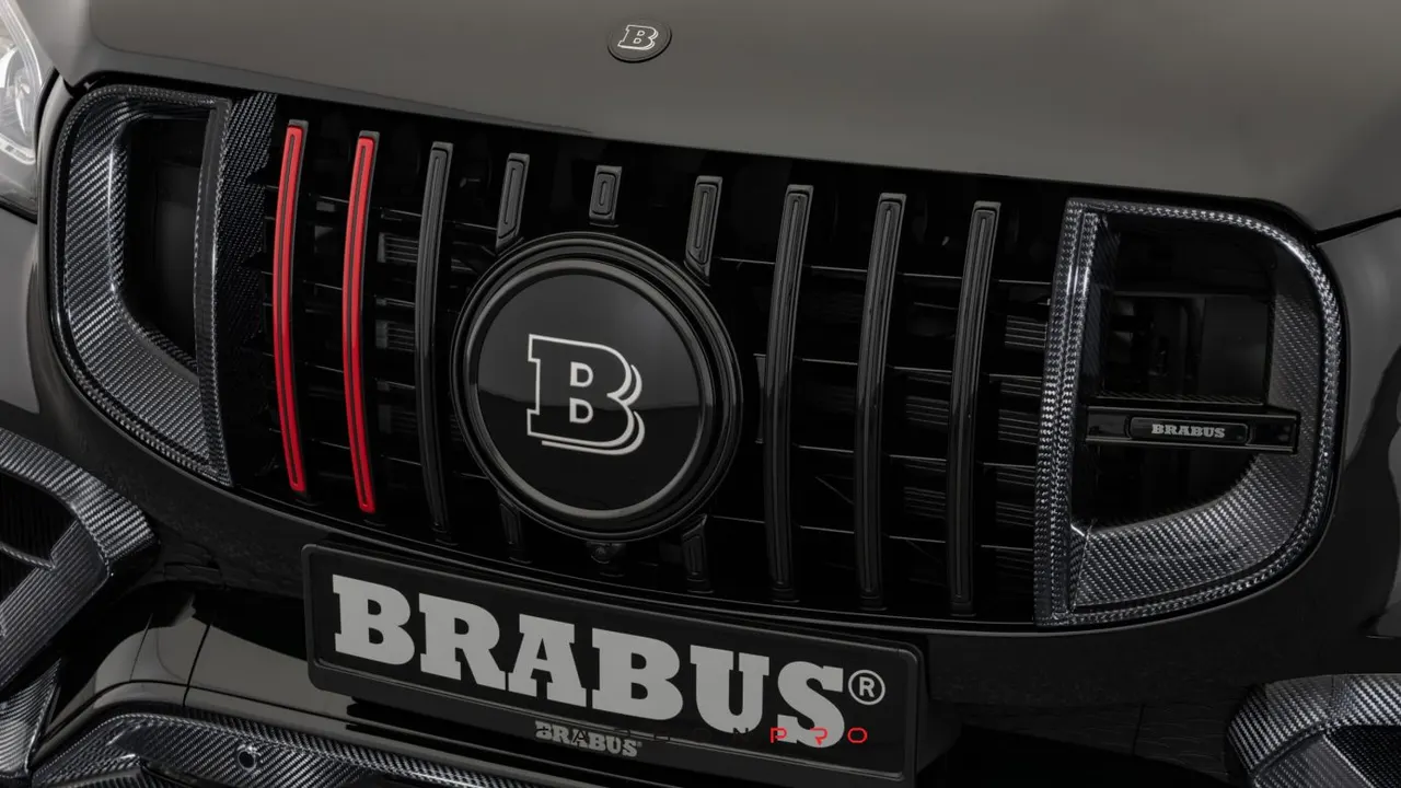 Carbon front grille inserts