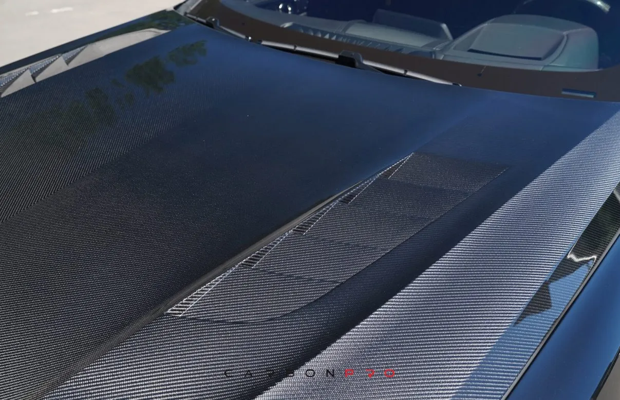 Carbon hood with gills SHARK