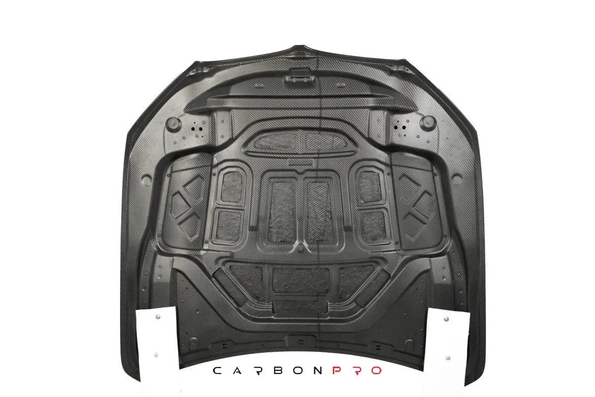 Carbon hood with gills SHARK