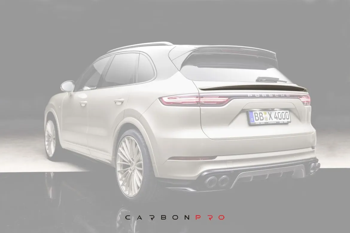 Carbon Rear Spoiler for 9YB (E3)