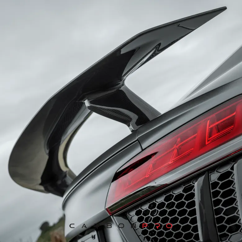 Carbon rear wing Audi R8