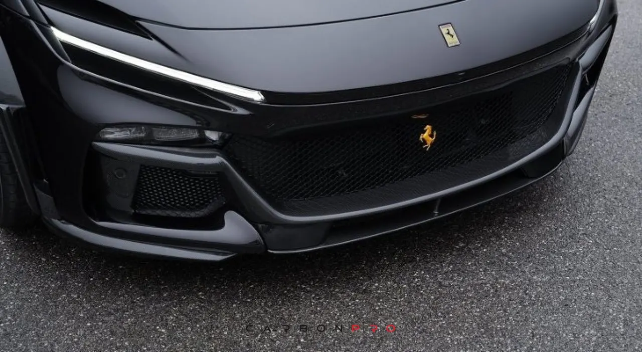 CARBON SET FOR FRONTBUMPER
