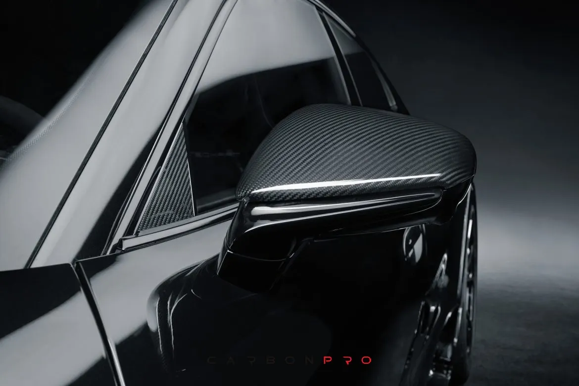 Carbon Side Mirror Trims