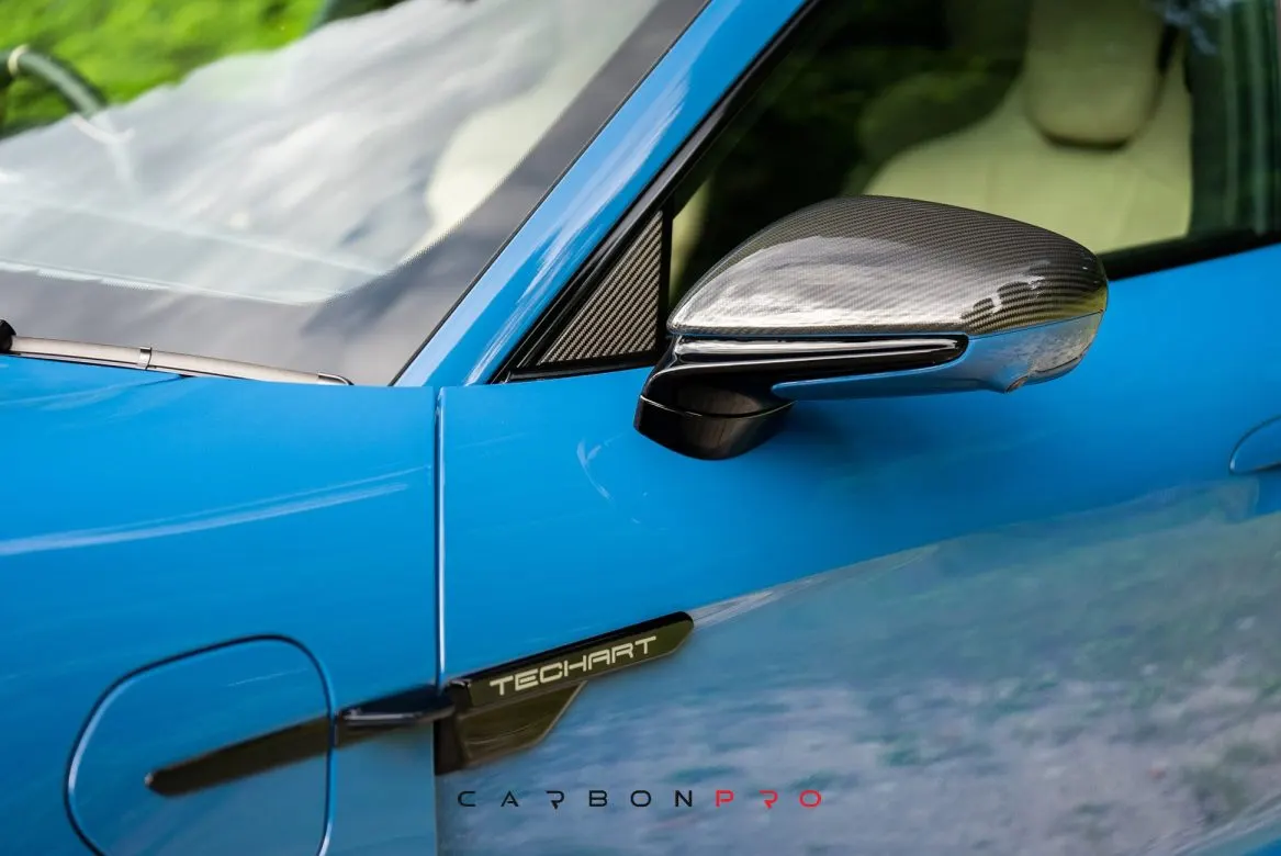 Carbon Window Triangles L/R