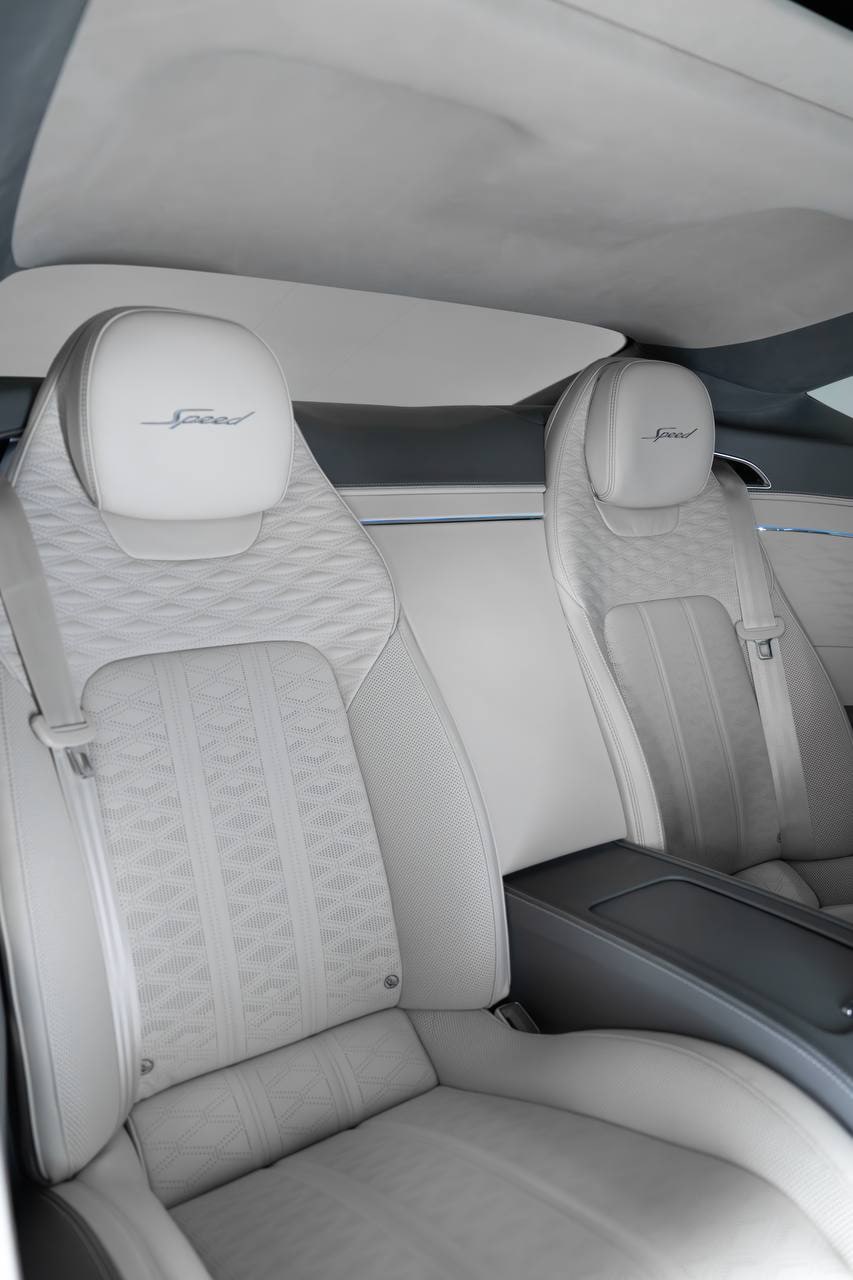 Bentley Continental GT MANSORY — Grey / White