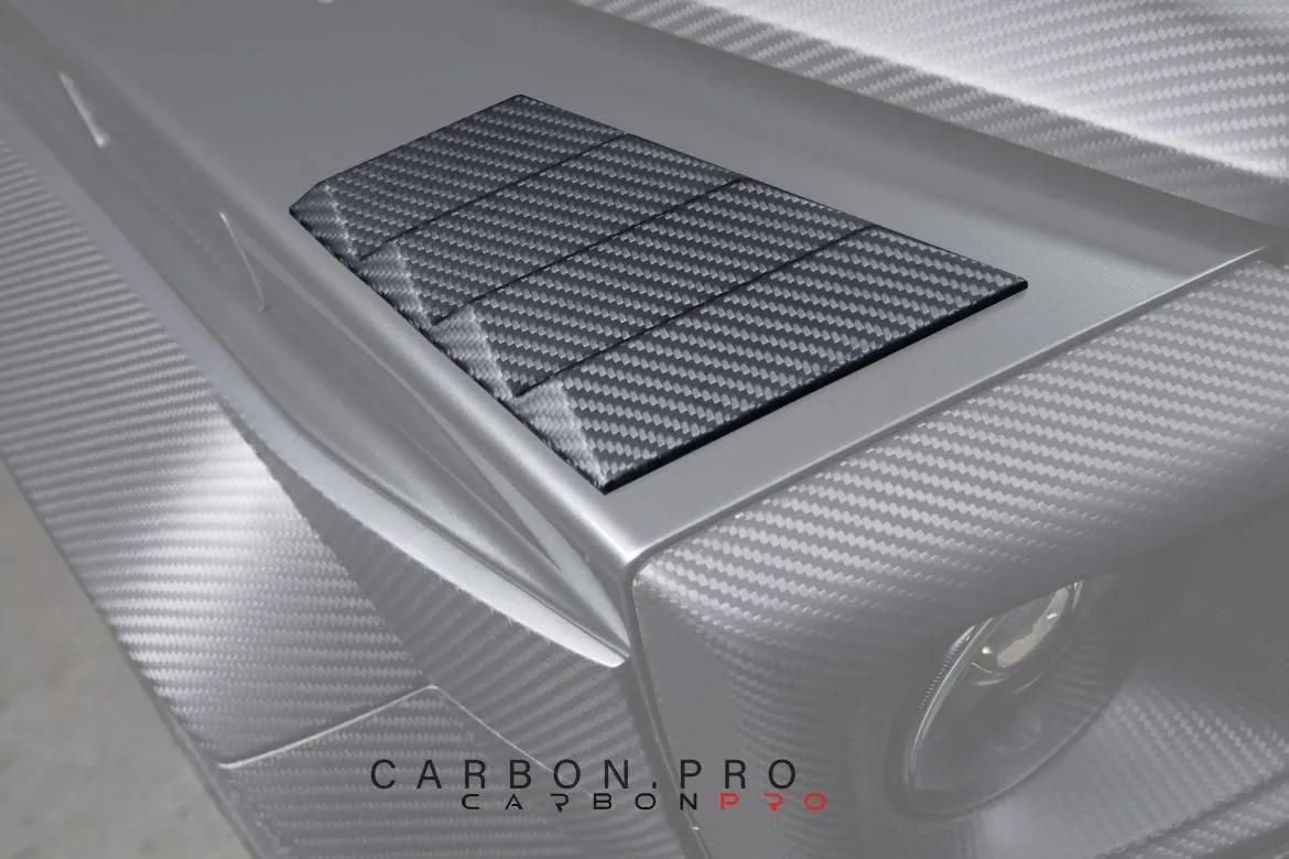 Carbon fender add-ons instead of turning signals