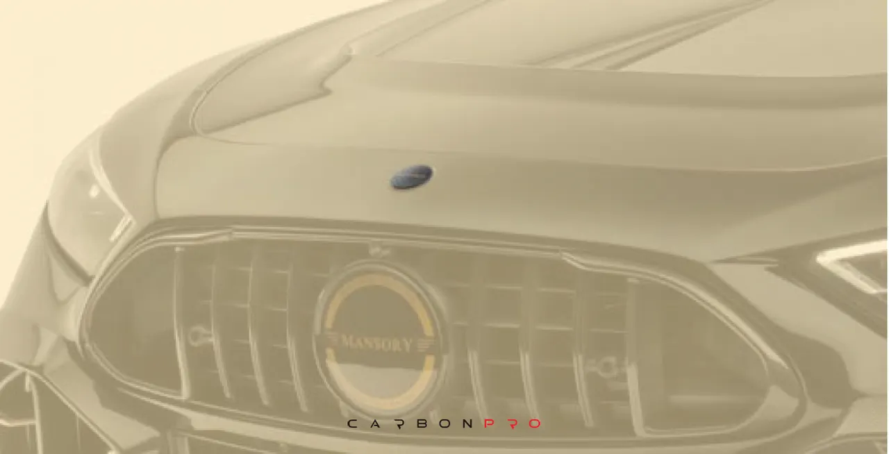 Front bumper emblem with logo