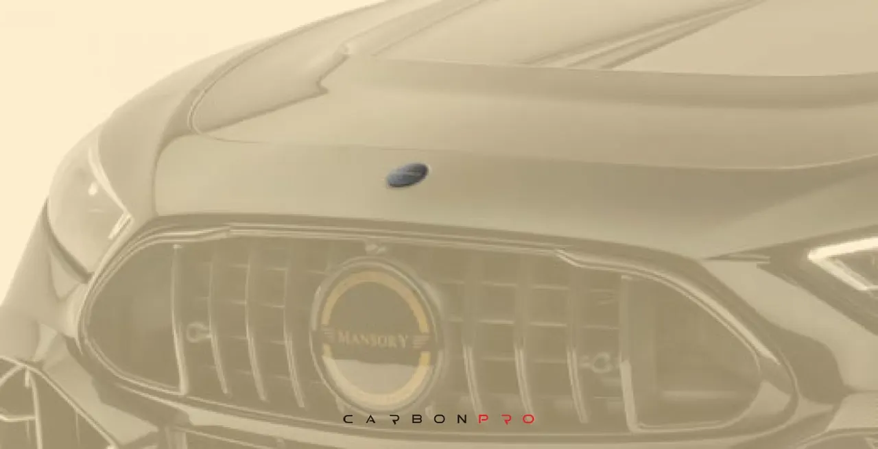 Front bumper emblem with logo