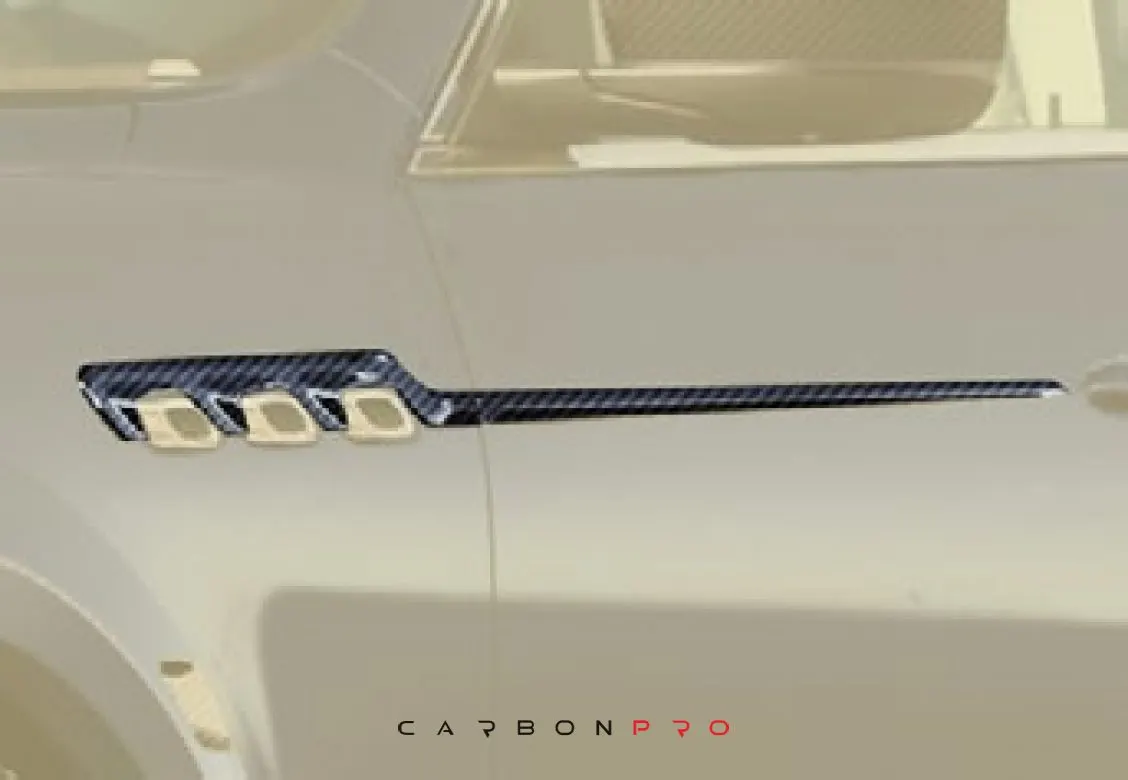 Front fender & door strip