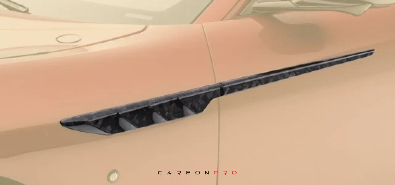Front fender & door strip