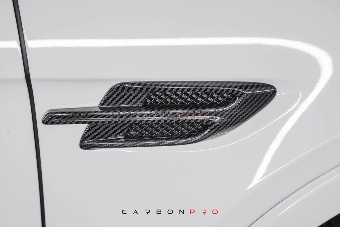Front Fenders air intakes add on parts