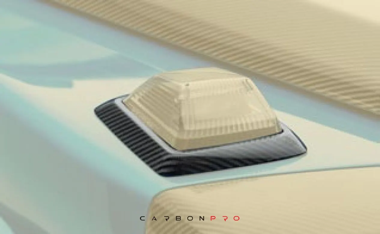 Front flasher protection cover
