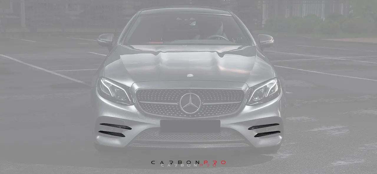 Carbon Front moldings