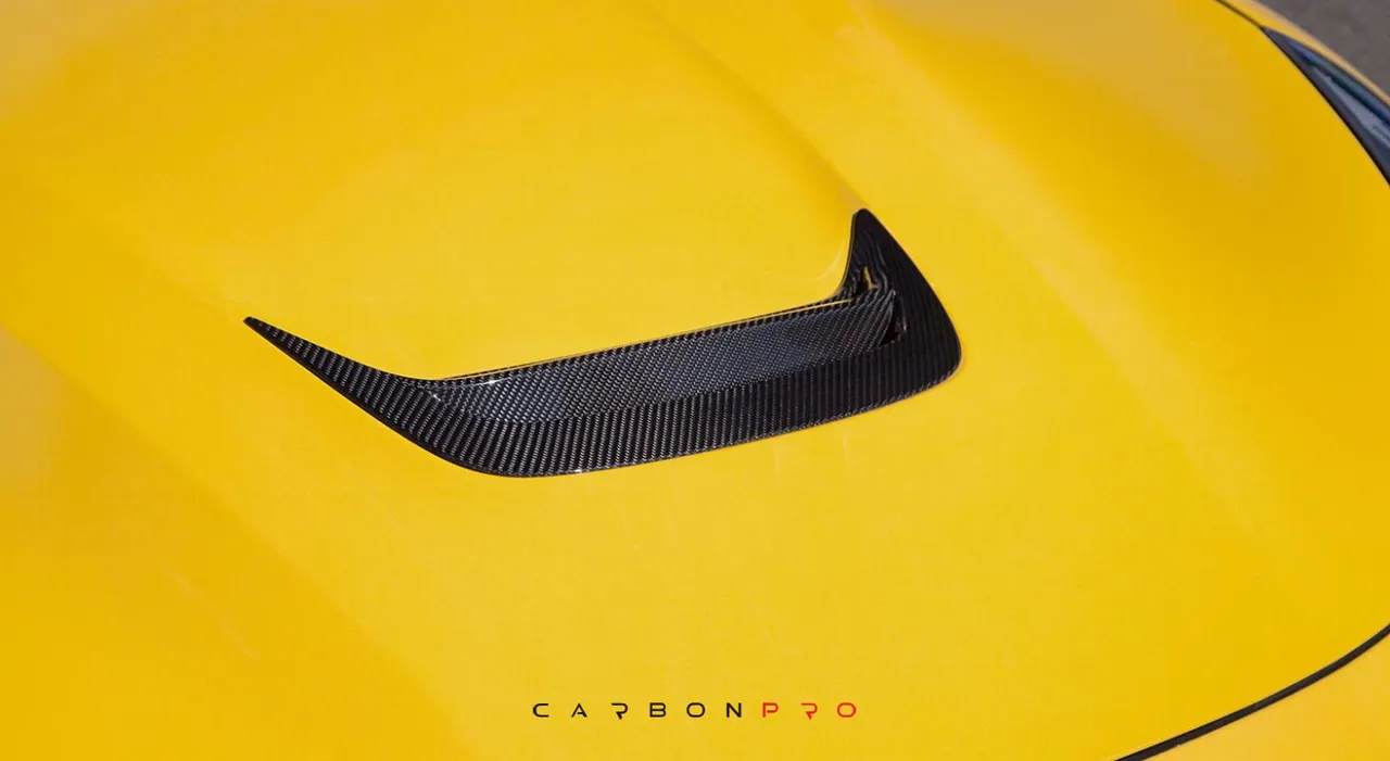 Inset for engine bonnet (Small)