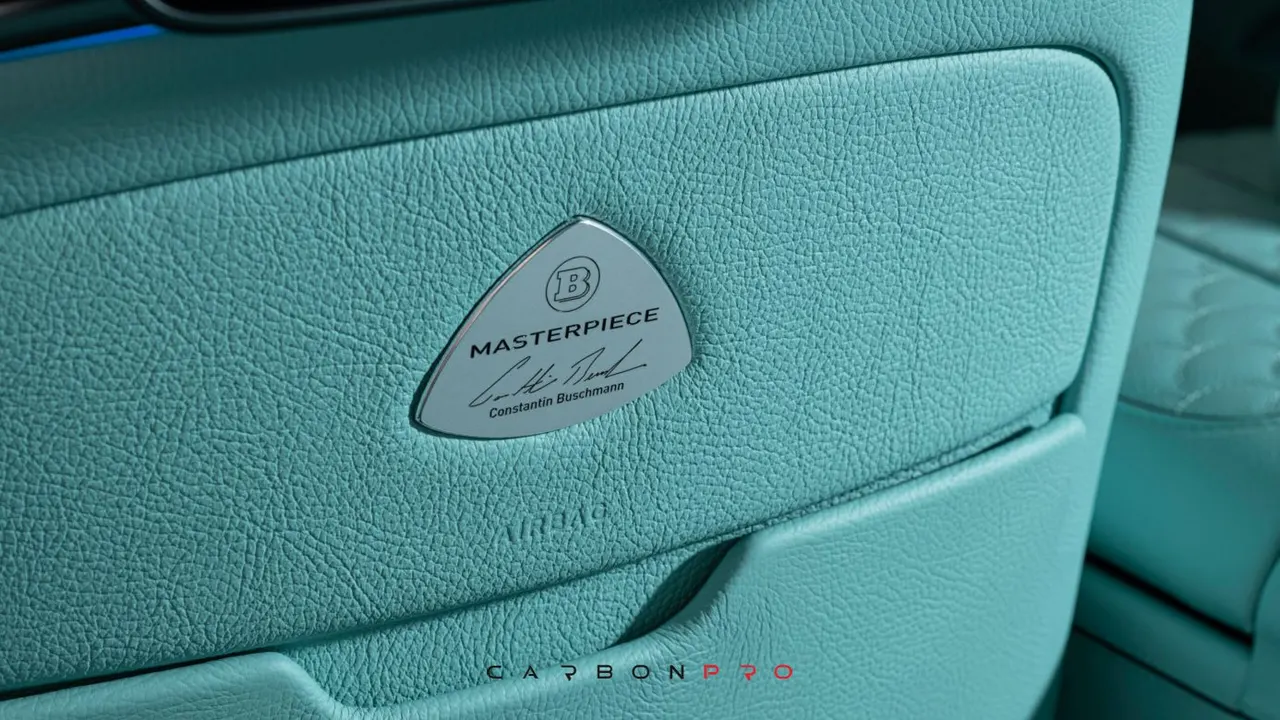 Leather seat back covers front seats