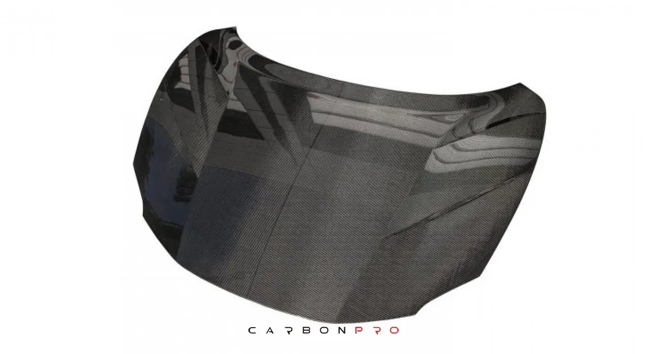 TRUNK LID (hood) N-LARGO