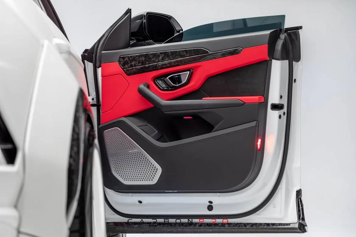 Carbon Outer Door Trim