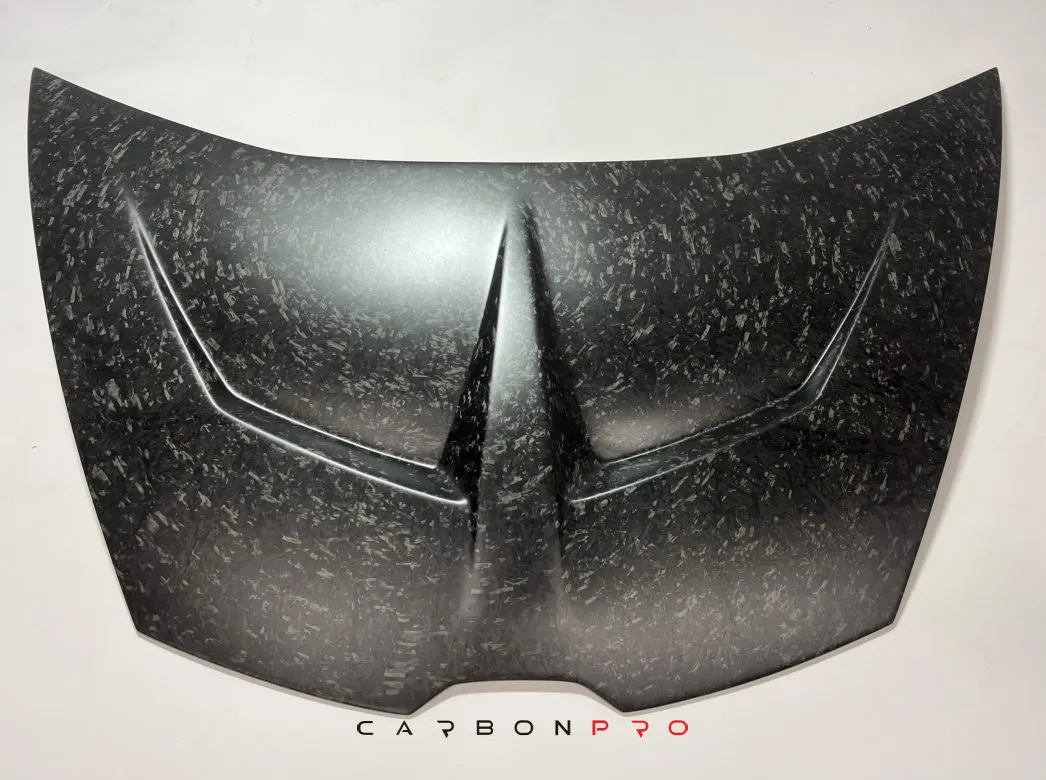 Carbon Race Hood