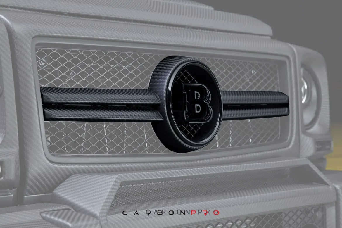 Carbon radiator grill
