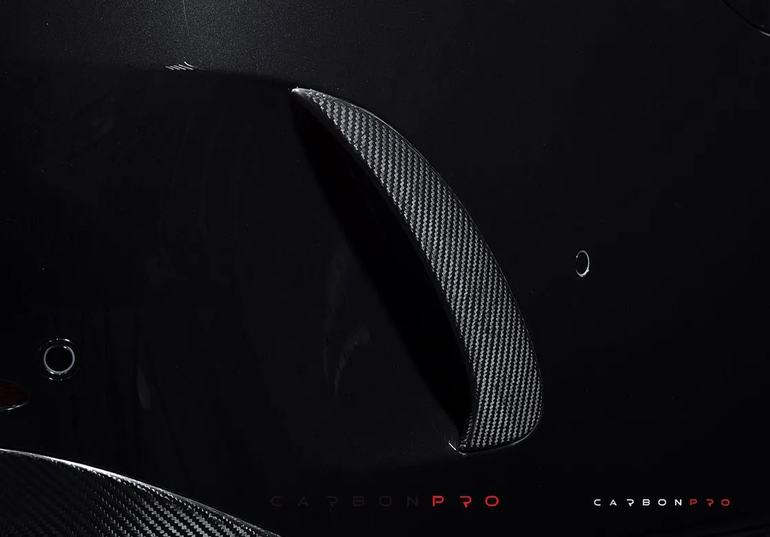 Carbon Rear air intakes add-ons Edition 1