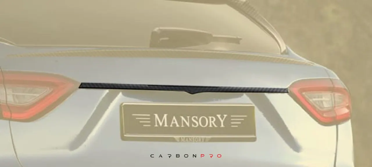 Carbon Rear bar cover