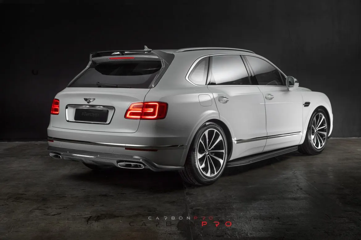 Rear Bumper Diffuser