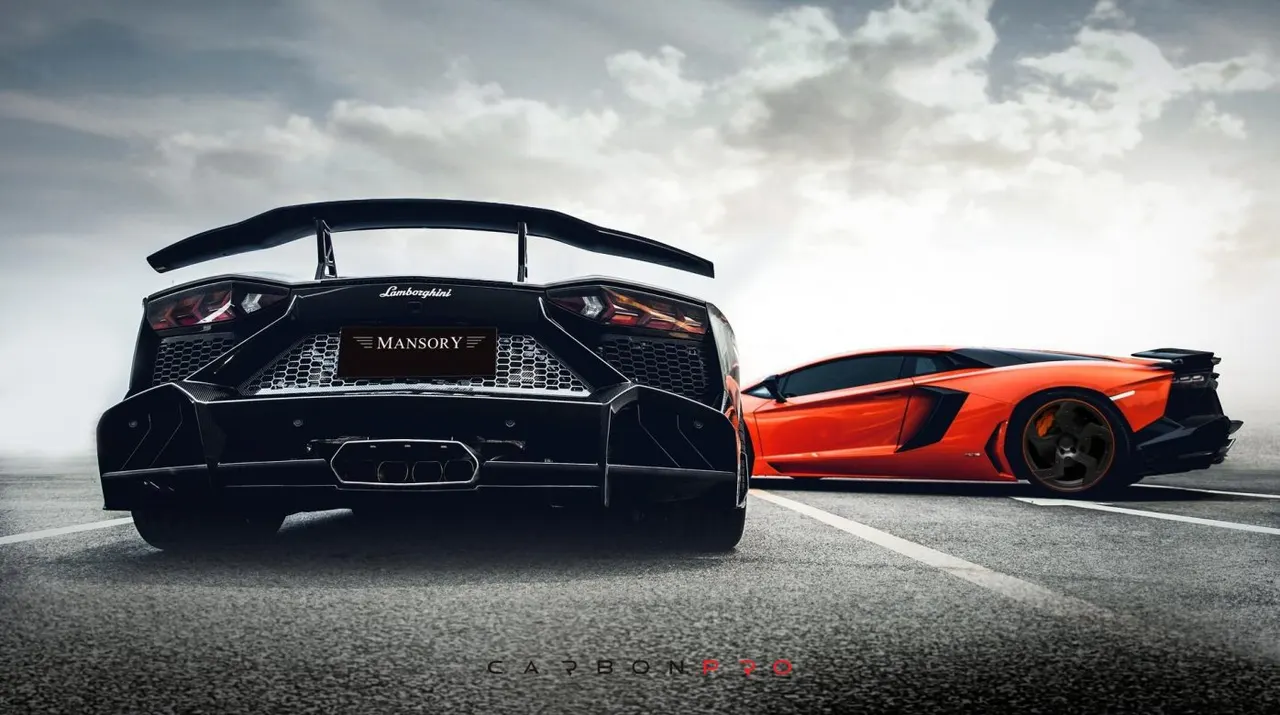 Rear high performance wing