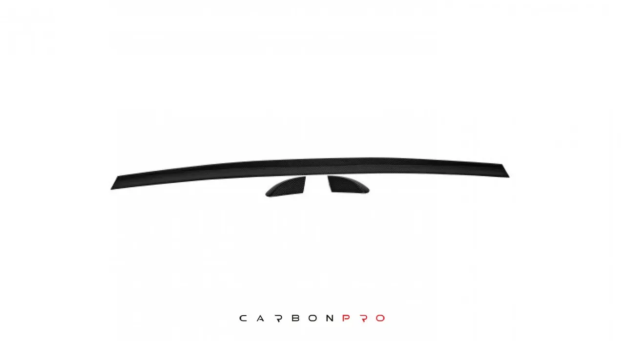 REAR LIP